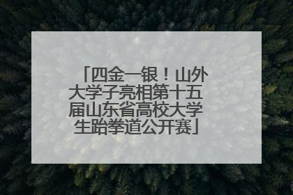 四金一银！山外大学子亮相第十五届山东省高校大学生跆拳道公开赛