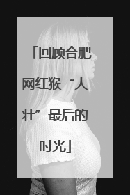 回顾合肥网红猴“大壮”最后的时光