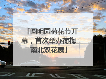 圆明园荷花节开幕，首次举办荷梅南北双花展