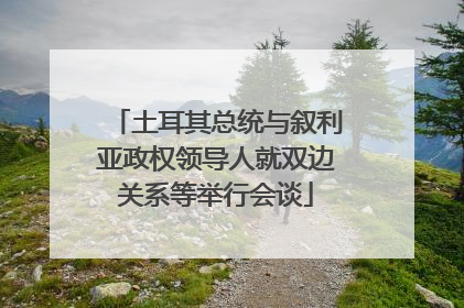 土耳其总统与叙利亚政权领导人就双边关系等举行会谈