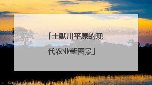 土默川平原的现代农业新图景