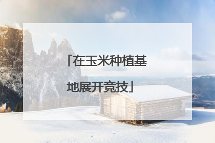 在玉米种植基地展开竞技