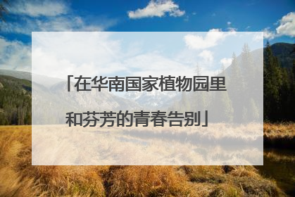 在华南国家植物园里和芬芳的青春告别