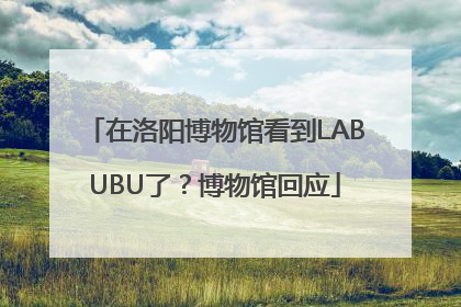 在洛阳博物馆看到LABUBU了？博物馆回应