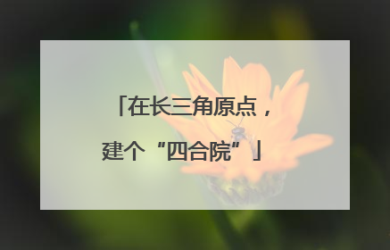 在长三角原点，建个“四合院”