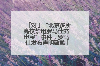 对于“北京多所高校禁用罗马仕充电宝”事件，罗马仕发布声明致歉