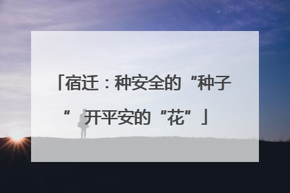 宿迁：种安全的“种子” 开平安的“花”