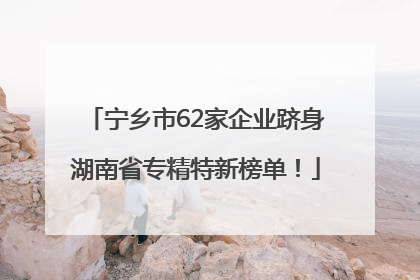 宁乡市62家企业跻身湖南省专精特新榜单！
