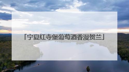 宁夏红寺堡葡萄酒香漫贺兰