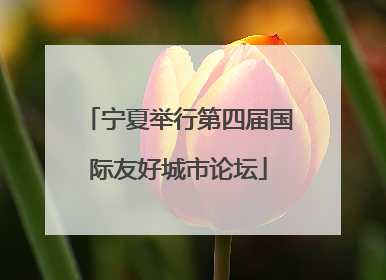 宁夏举行第四届国际友好城市论坛