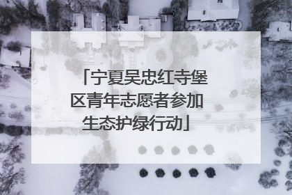 宁夏吴忠红寺堡区青年志愿者参加生态护绿行动