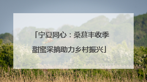宁夏同心：桑葚丰收季 甜蜜采摘助力乡村振兴