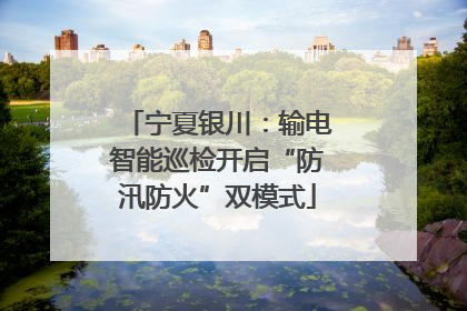 宁夏银川：输电智能巡检开启“防汛防火”双模式