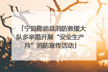 宁夏隆德县消防救援大队多举措开展“安全生产月”消防宣传活动