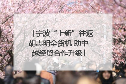 宁波“上新”往返胡志明全货机 助中越经贸合作升级