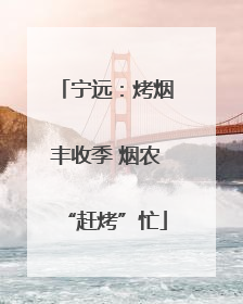 宁远：烤烟丰收季 烟农“赶烤”忙