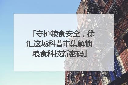 守护粮食安全，徐汇这场科普市集解锁粮食科技新密码