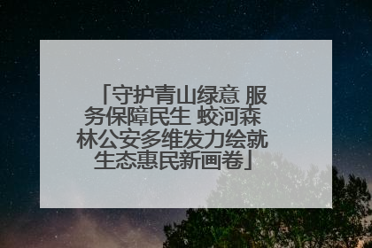 守护青山绿意 服务保障民生 蛟河森林公安多维发力绘就生态惠民新画卷