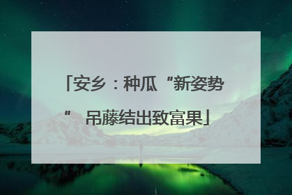 安乡：种瓜“新姿势” 吊藤结出致富果