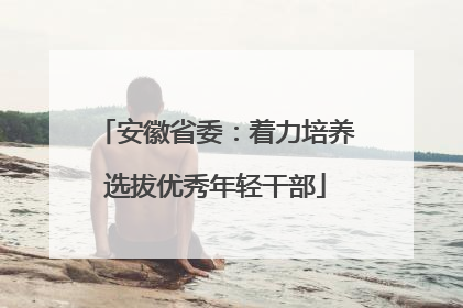 安徽省委：着力培养选拔优秀年轻干部