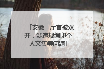 安徽一厅官被双开，涉违规编印个人文集等问题