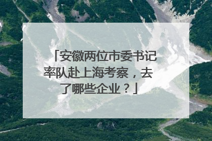 安徽两位市委书记率队赴上海考察，去了哪些企业？