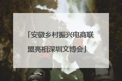 安徽乡村振兴电商联盟亮相深圳文博会