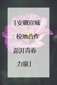 安徽宣城：校地合作 澎湃青春力量