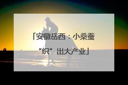 安徽岳西：小桑蚕“织”出大产业