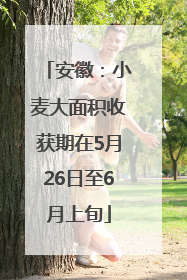 安徽：小麦大面积收获期在5月26日至6月上旬