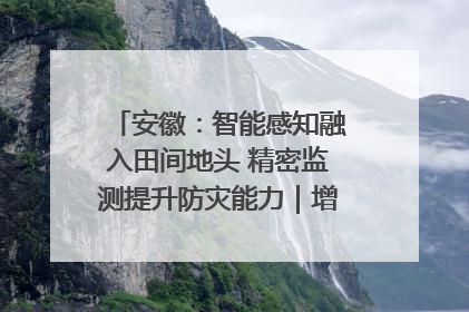 安徽：智能感知融入田间地头 精密监测提升防灾能力｜增发国债气象项目落地见效系列报道