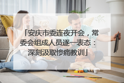 安庆市委连夜开会，常委会组成人员逐一表态：深刻汲取惨痛教训