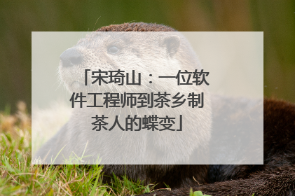 宋琦山：一位软件工程师到茶乡制茶人的蝶变
