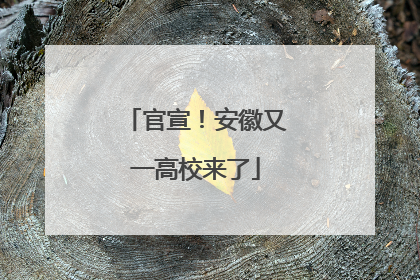 官宣！安徽又一高校来了