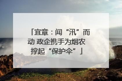 宜章：闻“汛”而动 政企携手为烟农撑起“保护伞”