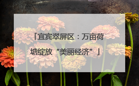 宜宾翠屏区：万亩荷塘绽放“美丽经济”