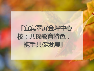 宜宾翠屏金坪中心校：共探教育特色，携手共促发展