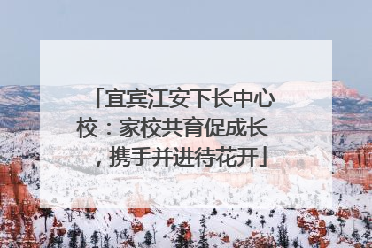 宜宾江安下长中心校：家校共育促成长，携手并进待花开