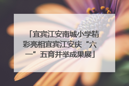 宜宾江安南城小学精彩亮相宜宾江安庆“六一”五育并举成果展