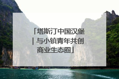 塔斯汀中国汉堡｜与小镇青年共创商业生态圈