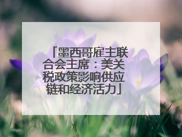 墨西哥雇主联合会主席：美关税政策影响供应链和经济活力
