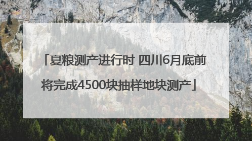 夏粮测产进行时 四川6月底前将完成4500块抽样地块测产