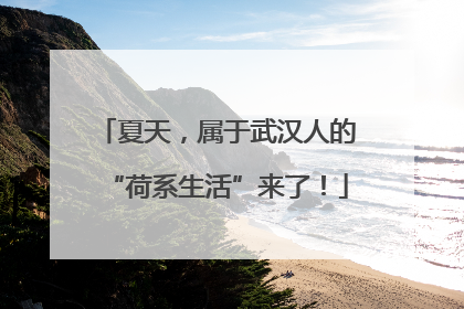 夏天，属于武汉人的“荷系生活”来了！