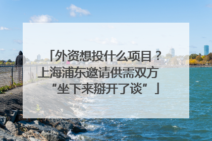 外资想投什么项目？上海浦东邀请供需双方“坐下来掰开了谈”