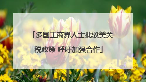 多国工商界人士批驳美关税政策 呼吁加强合作