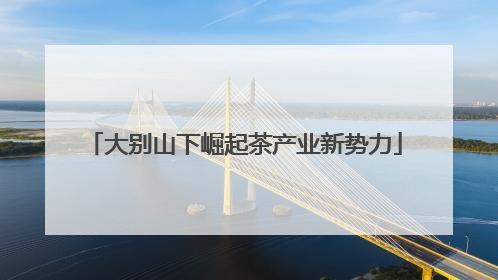 大别山下崛起茶产业新势力