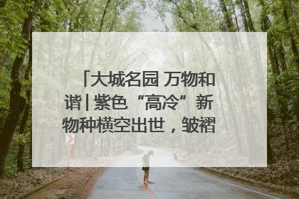 大城名园 万物和谐│紫色“高冷”新物种横空出世，皱褶叶片暗藏进化密码
