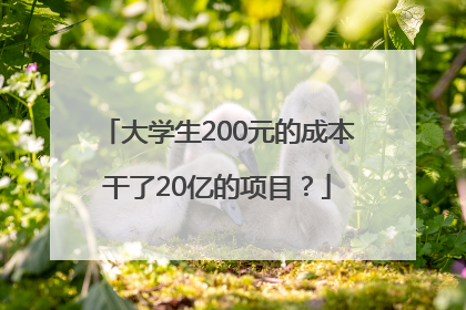 大学生200元的成本干了20亿的项目？