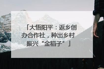 大悟阳平：返乡创办合作社，种出乡村振兴“金稻子”