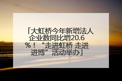 大虹桥今年新增法人企业数同比增20.6%！“走进虹桥 走进进博”活动举办